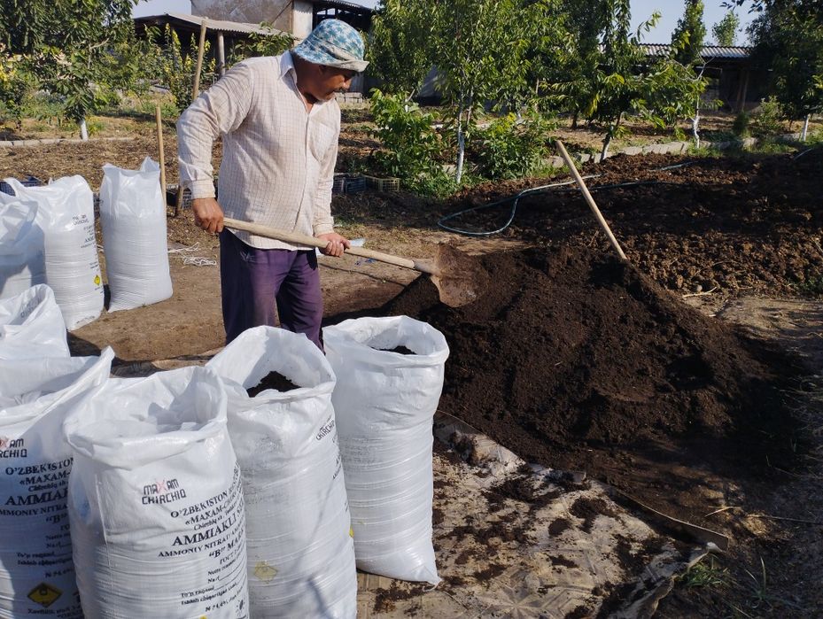 Копланган чириган гунг