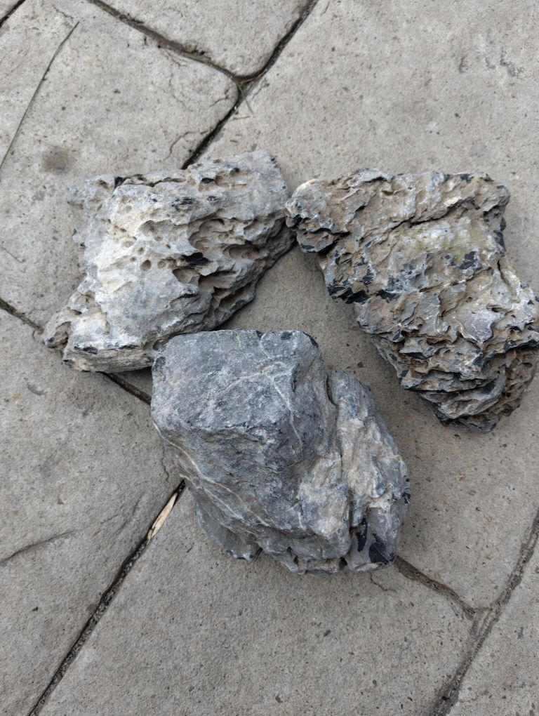 3 bucăți rocă seiryu pentru acvariu.