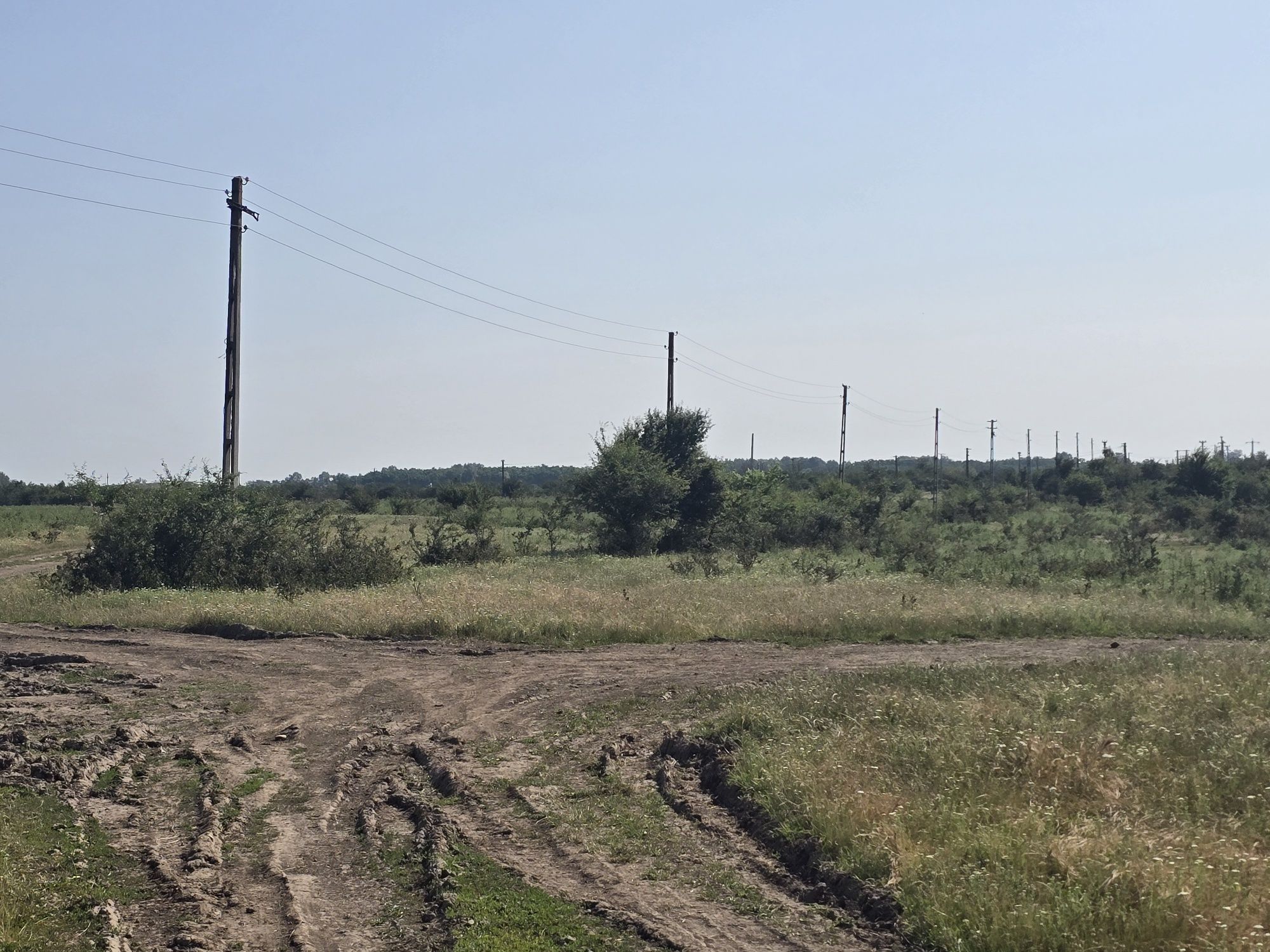 Vand Teren 2200 metri Ciorogarla Darvari la 15 minute de bucuresti