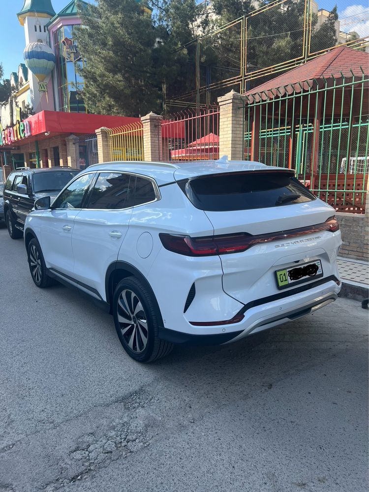 BYD Chempion EV 2024 full