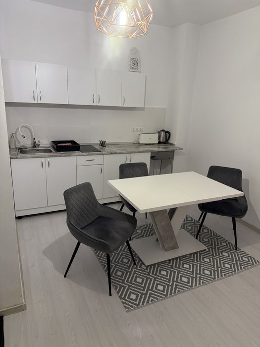 Chirie apartament cu o camera la casa