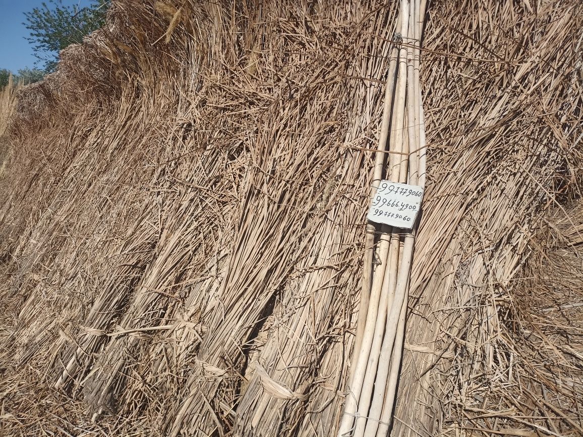 Yekan sotiladi 8 000 soʻm