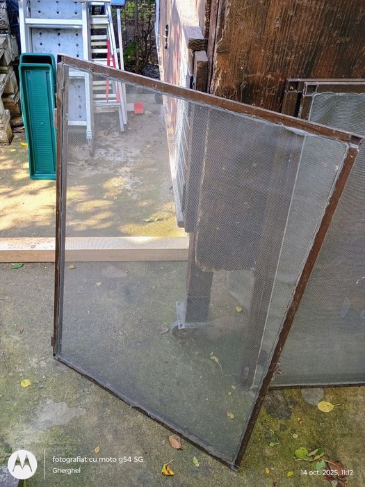 3 plase insecte culoare maro