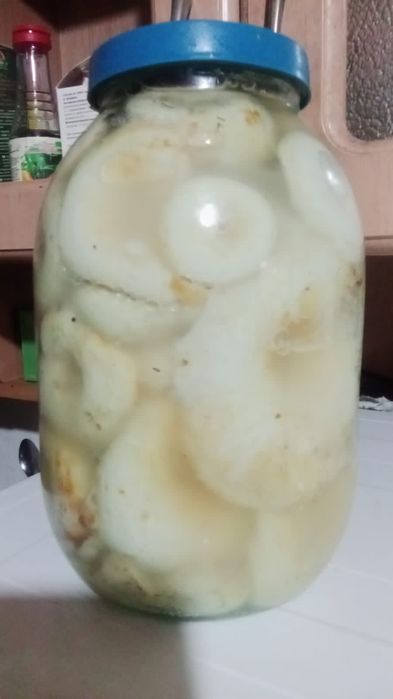 Грузди салонные 10-банок