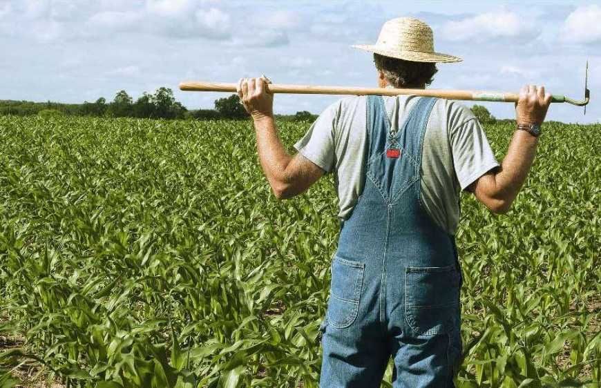 Крестьянское фермерское хозяйство продам
