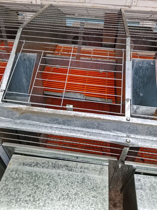 Пулкерак бопколди