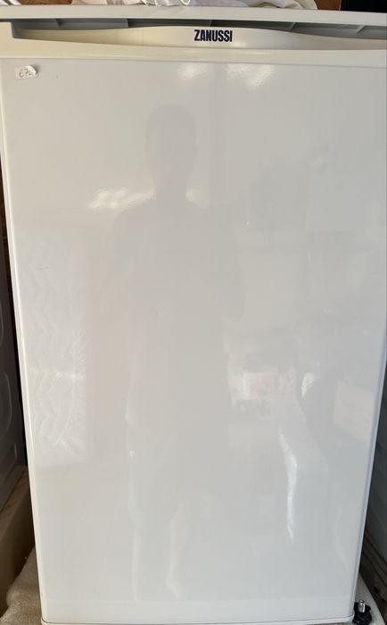 Mini congelator Zanussi, Studio