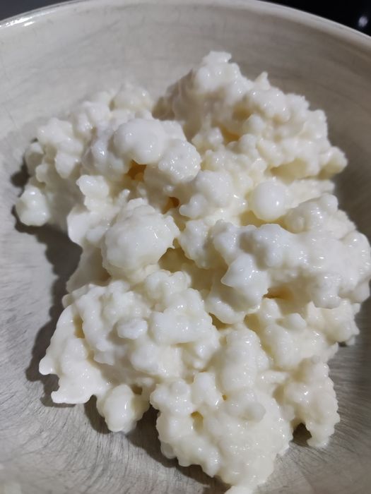 Ciuperca de kefir