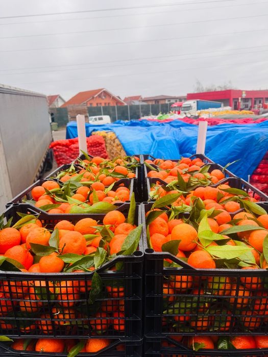 Oferim spre vânzare cartofi albi Cartof roșu, Mere ,pere ,varza Țelină