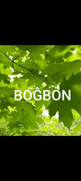 Уборка територи сад