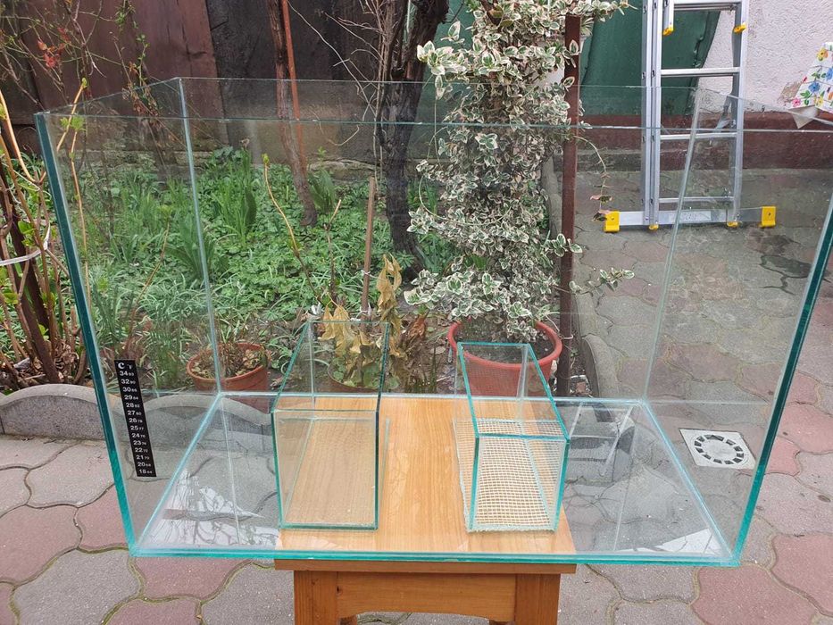 Acvariu mic si maternitate