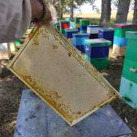 Мёд в СОТАХ, полностью рамки закрытые