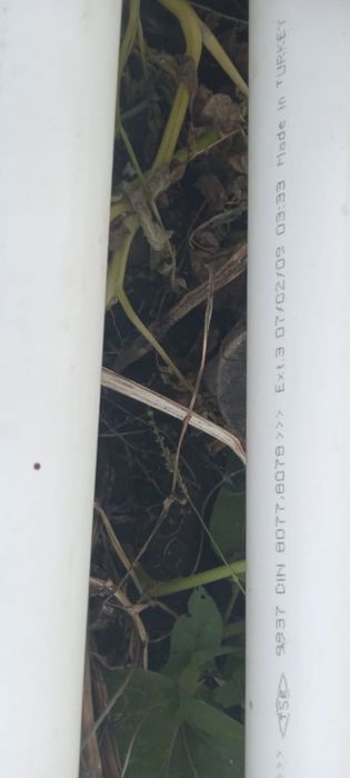 Продам полипропиленновые трубы. г. Рудный.