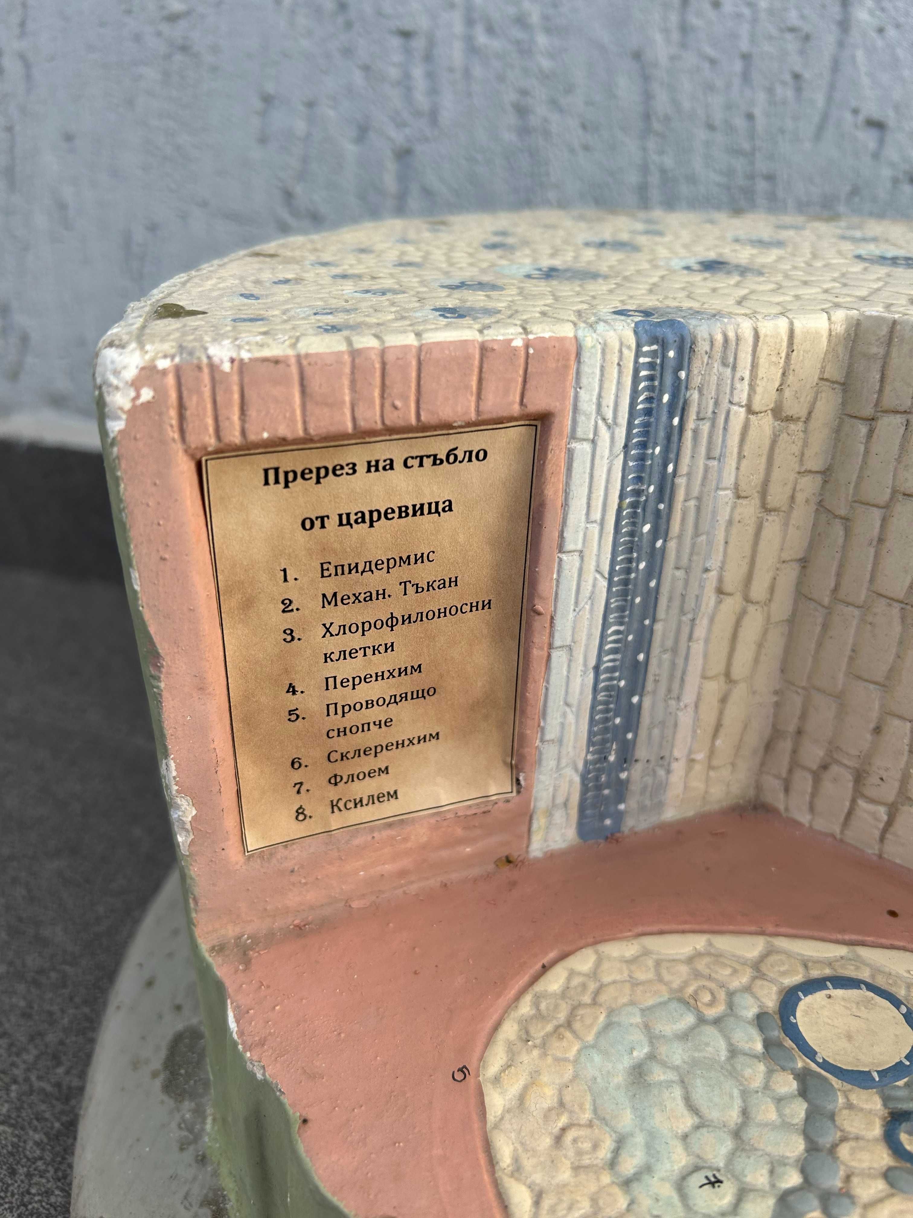 Соц Учебни Модели Макети