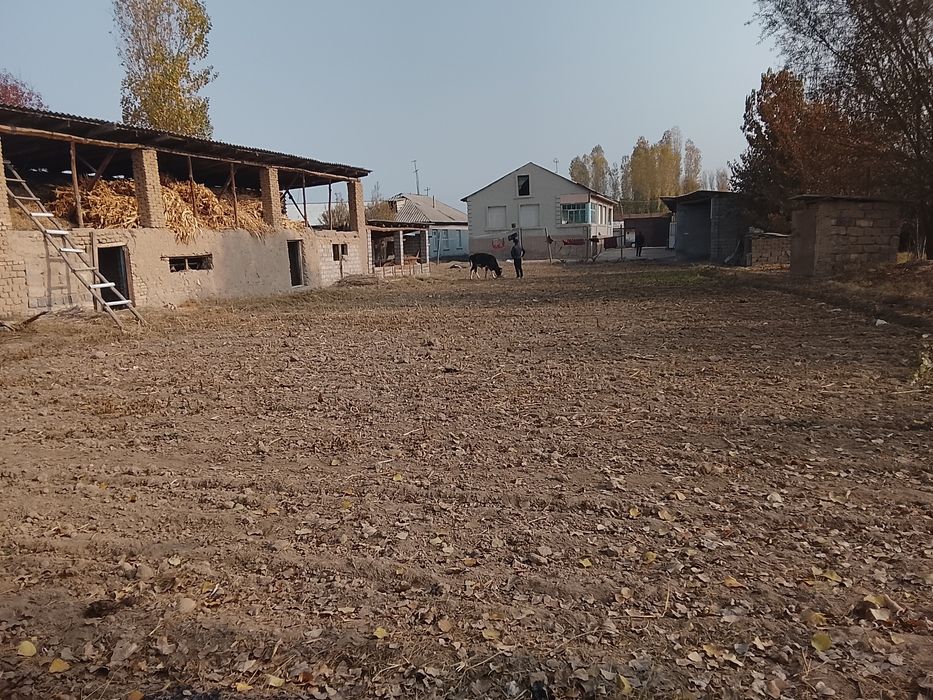 Срочна котта ховли 27 сотих