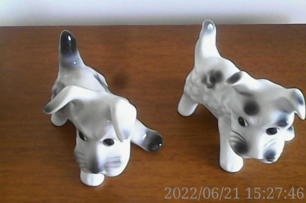 Catelusi Portelanul Alba Iulia