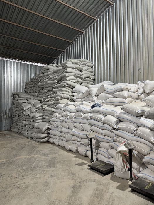 Пшеница, ячмень, отруби, жем, кебек, сафлор зерноотход