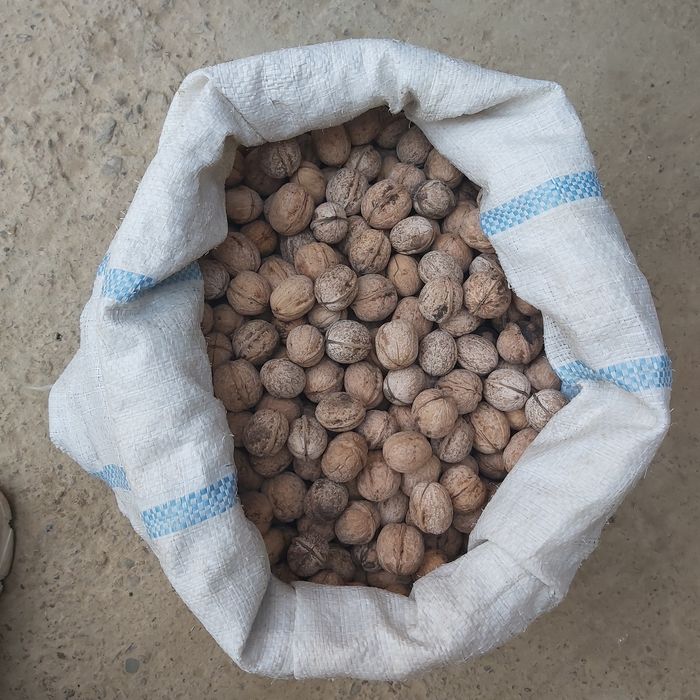 Yong'oq sotiladi 100 kg atrofida