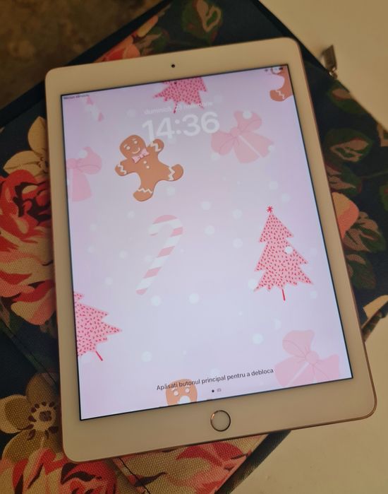 iPad Pro 9.7 – 128 GB, Wi-Fi + SIM – Rose Gold