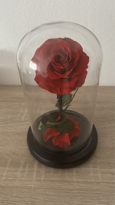 Вечна роза в стъкленица
