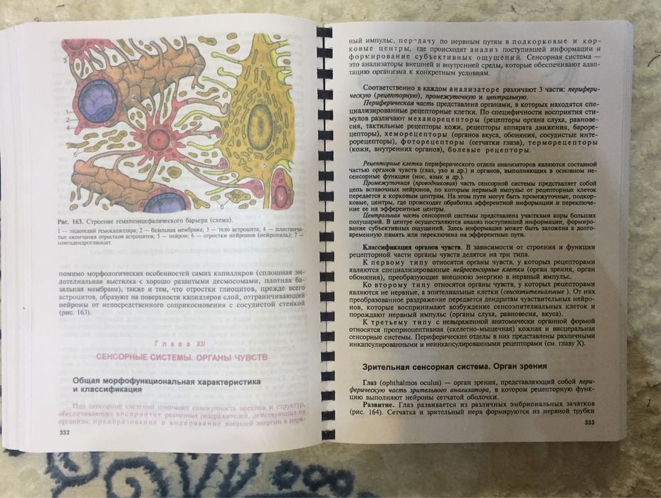 Гистология Афанасьев