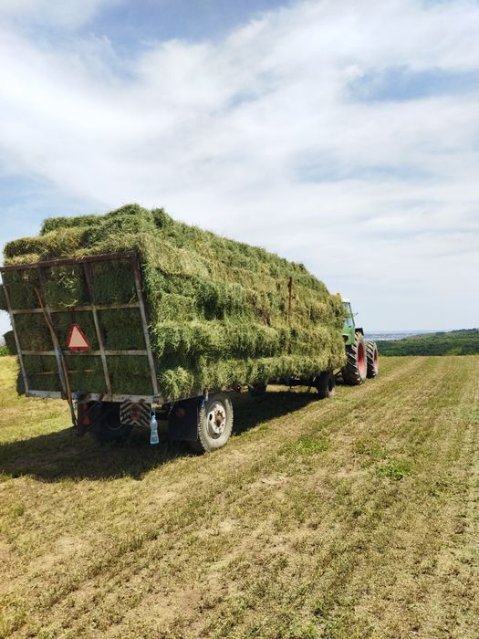 Baloți Dreptunghiulari de Lucernă 2025 -Coasa 3! Transport disponibil!