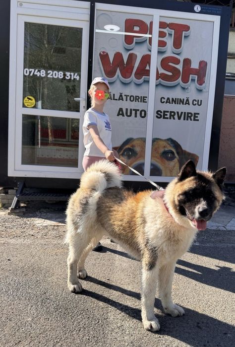 Spălătorie canină cu autoservire