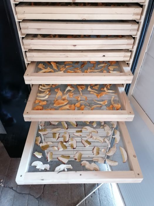 Deshidrator (uscător) de Ciuperci, Fructe, Plante
