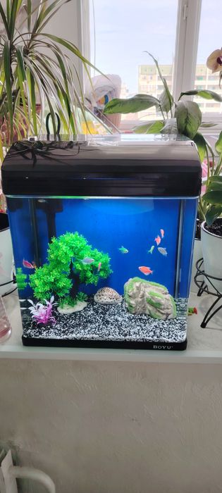 Новый завадскойАквариум