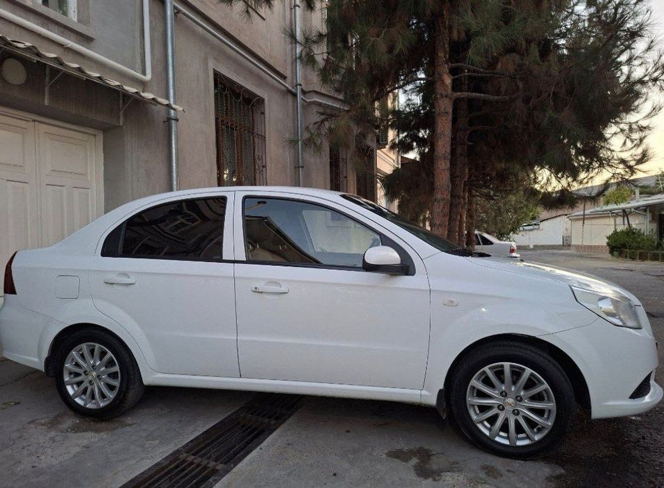 Nexia 3 (2-pozıtsıya)