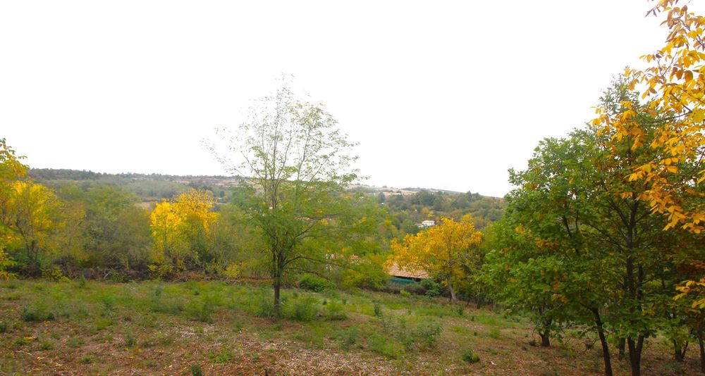 Парцел в регулация в с. Костенковци