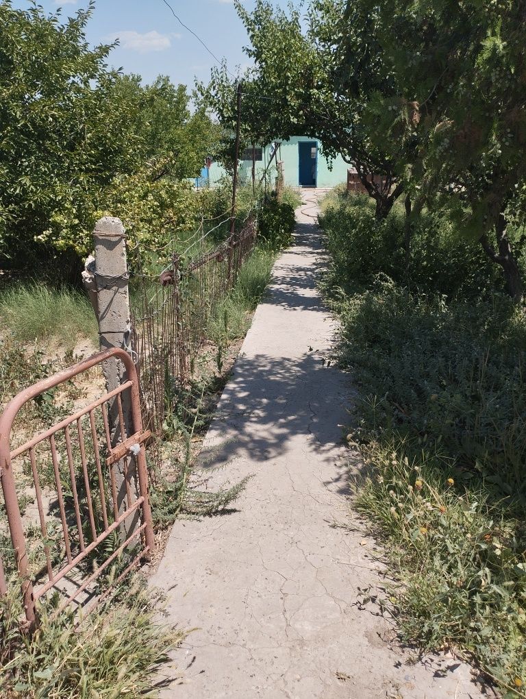 Продается дом в шардаре
