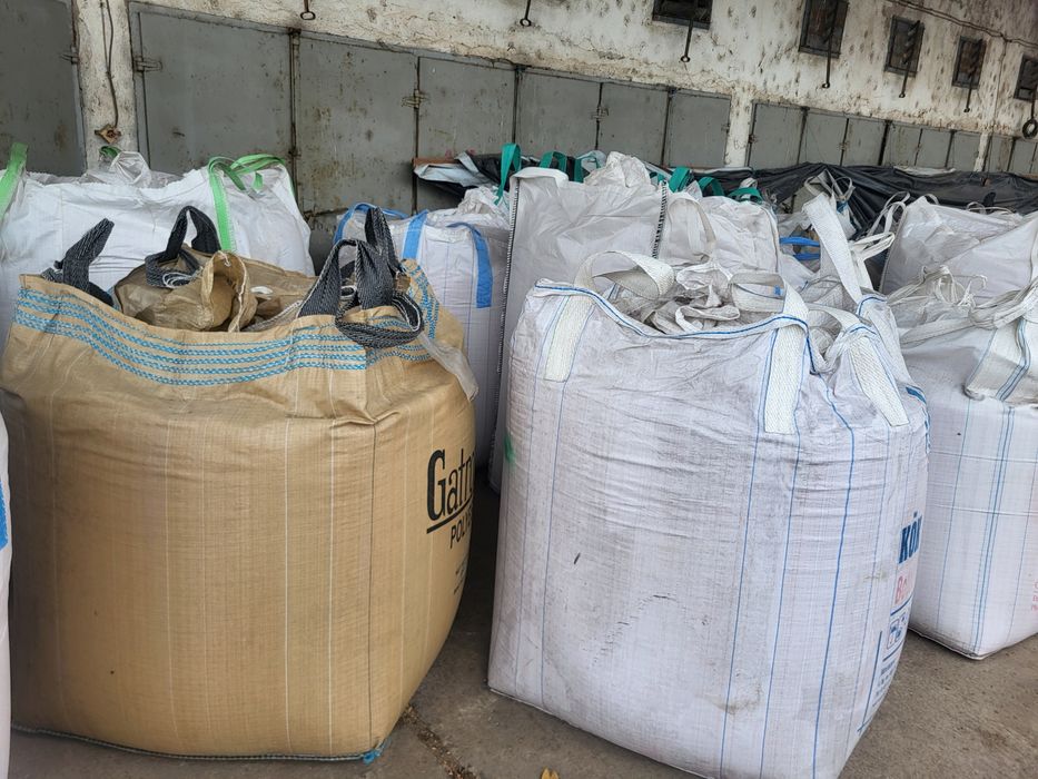 Семе Пшеница Авеню и Астерион 2025