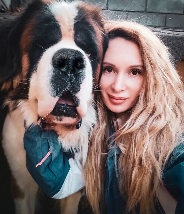 Сенбернар/Рассрочка/Питомник