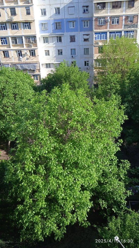 Продается квартира 3 комнатная на юнус-абаде 19 квартал