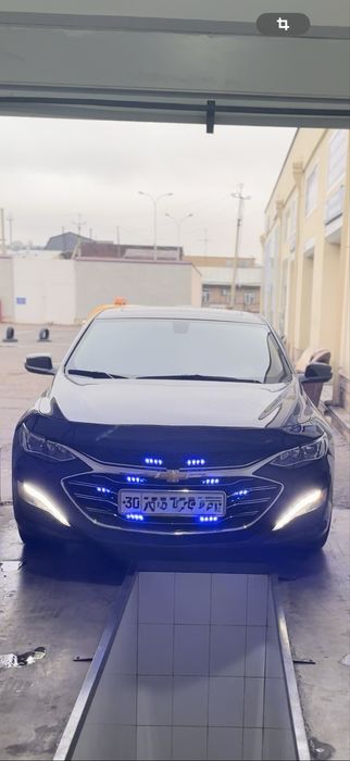 Элена барс 200watt