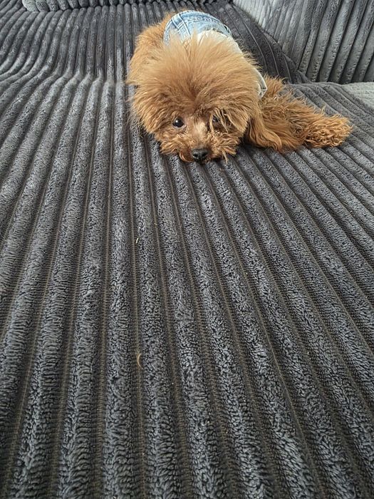 Тийкъп момиче на 1 година