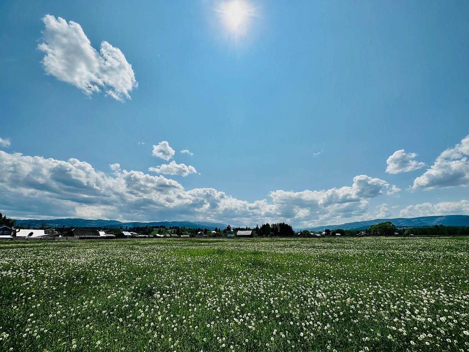 Teren deosebit la munte, intravilan!