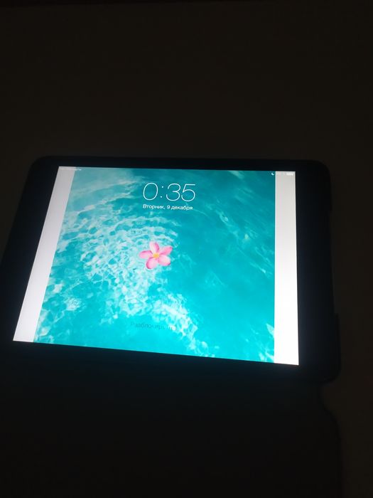 Ipad 2 mini пароль