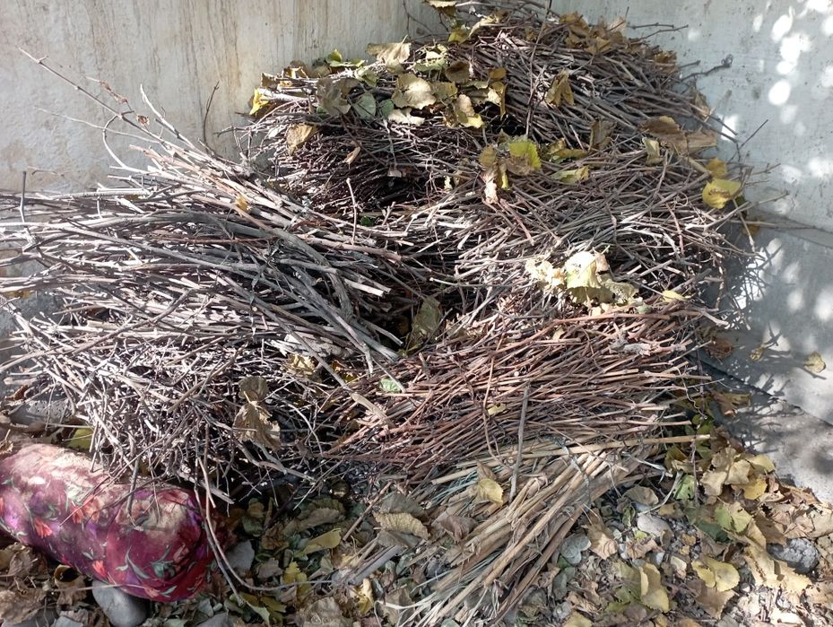 Утин сотилади. Мевали дарахтники.