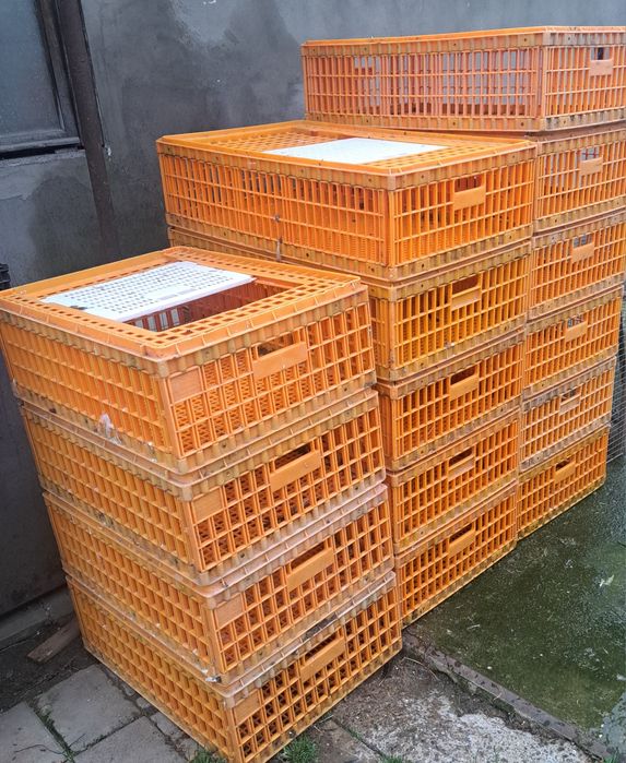 Vand 15 lazi transport pasari