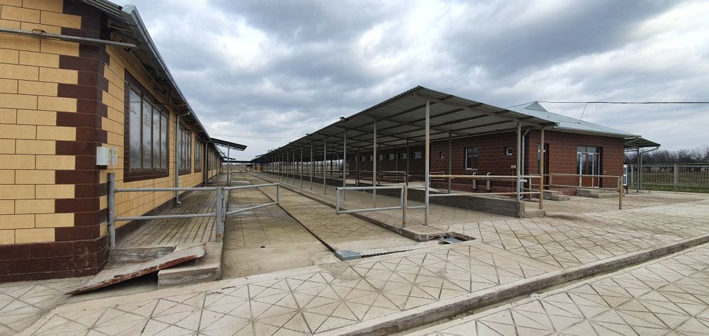 Продается молочная ферма