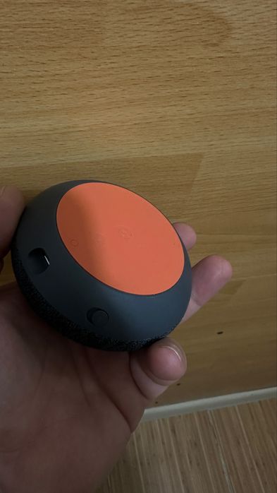 Google Home Mini Nest