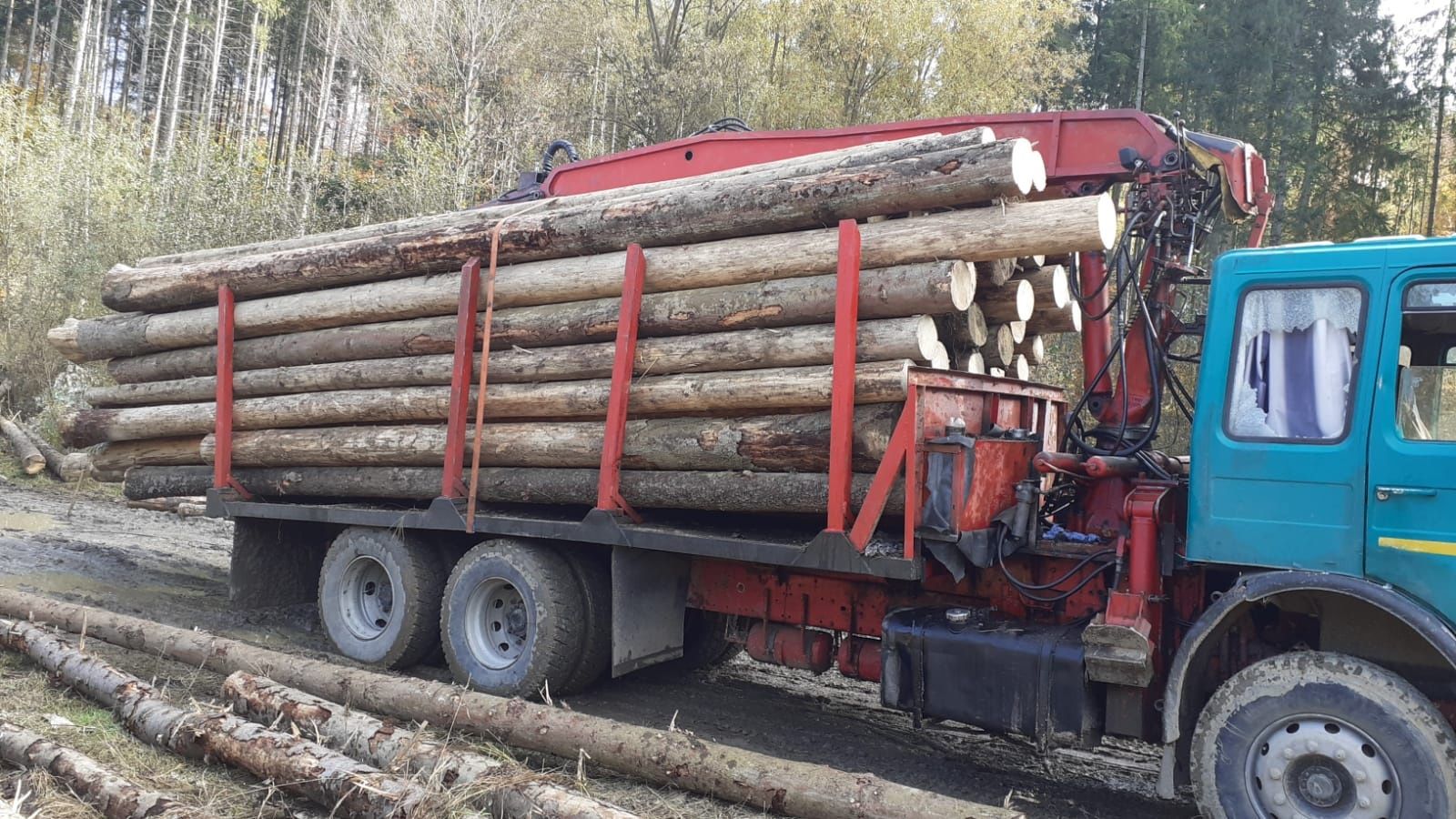 Camion forestier / transport busteni / graifer