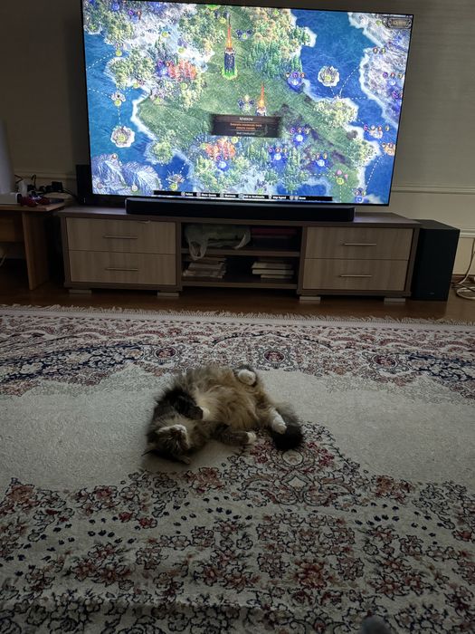 LG Oled C2 77 дюймов