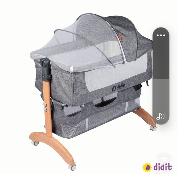 Didit belanchak holati yangi iwlatilmagan