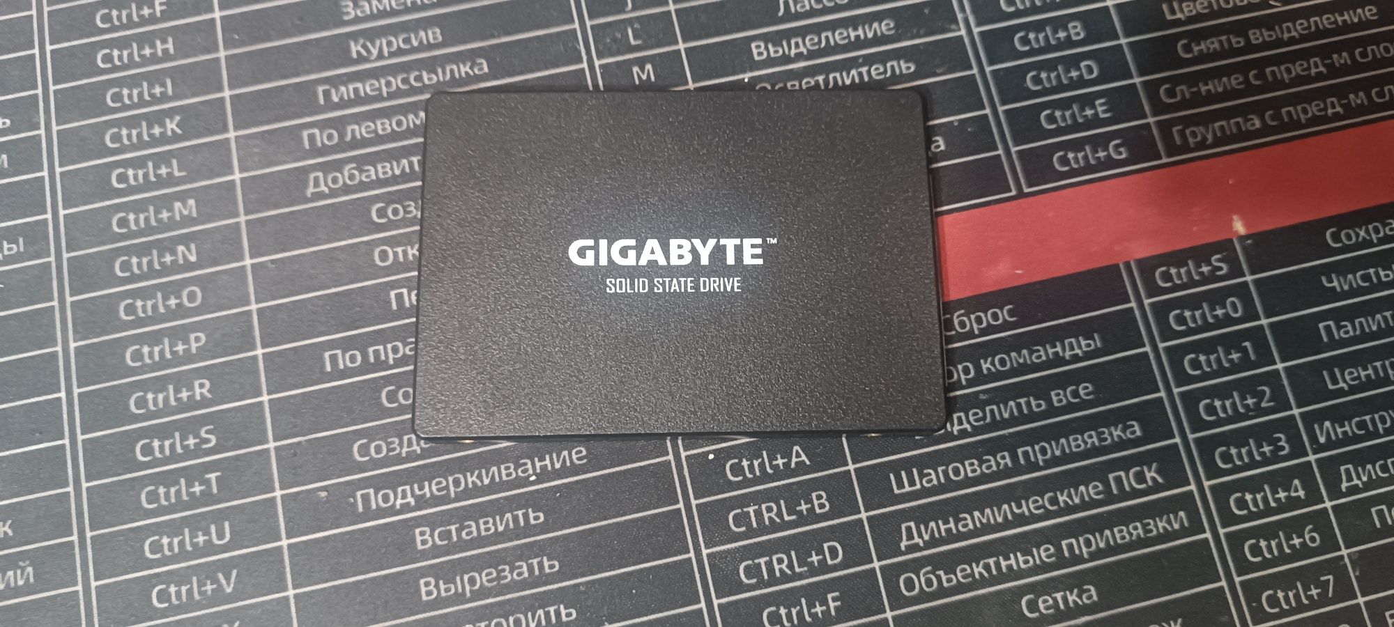 Ssd gigabyte 256