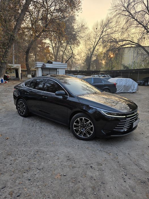 Продаю. CHAZOR flagship 120.