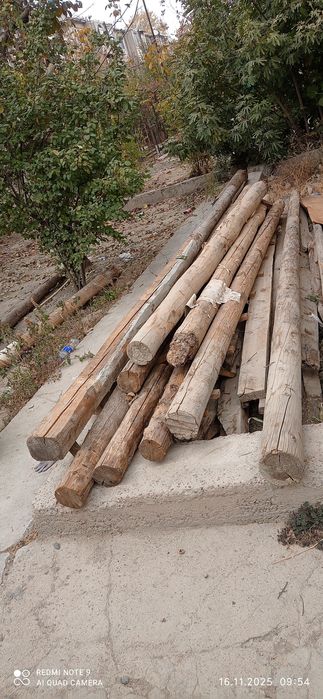 Bolor sotiladi 20 dona