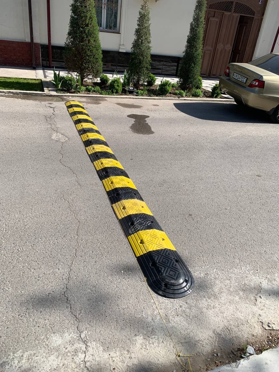 Лежаччи полисески